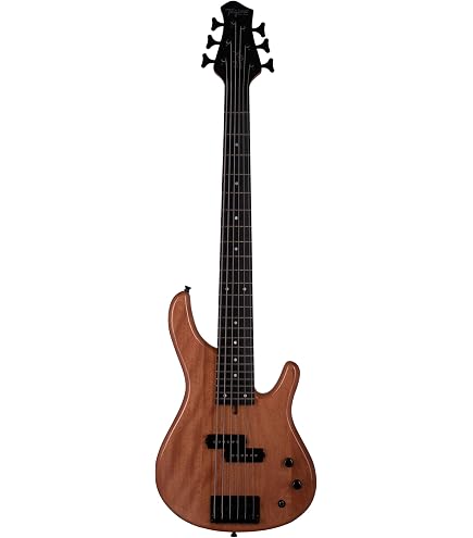 Warwick Rockbass Vampyre 4 cordas, acabamento polido preto